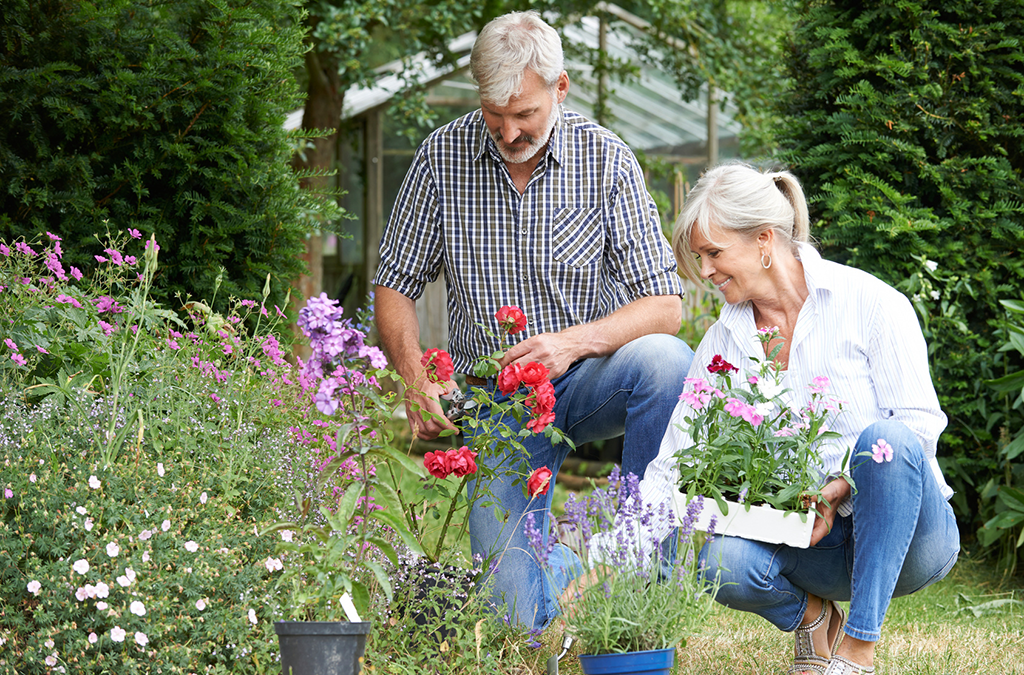 The Benefits of Vitamin D for Neuropathy